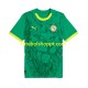 Camisola Homem Senegal Alternativa Equipamento 2025 Manga Curta