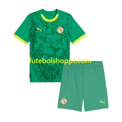 Camisola Júnior Senegal Alternativa Equipamento 2025 Manga Curta