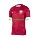 Camisola Homem Polónia Alternativa Equipamento 2026 2027 Manga Curta