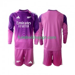 Camisola Júnior Arsenal Guarda-redes Terceiro Equipamento 2025-2026 Manga Comprida
